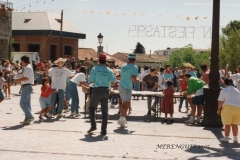 VISTA-GENERAL-MERENGUES-