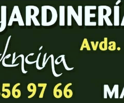 Vivero Verdencina Hoyo de Manzanares